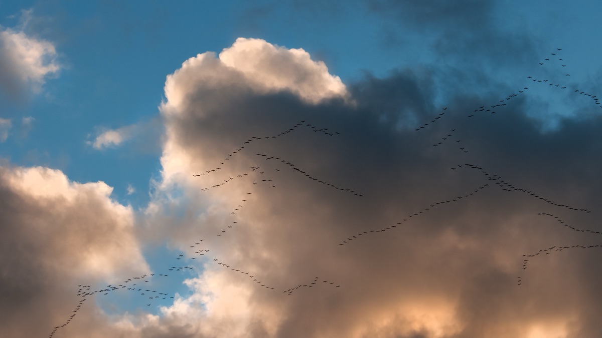 Migration SEO : refondre son site sans perdre ses positions en 2026